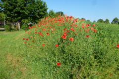 P1020504