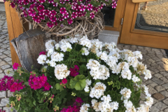 image023