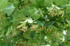 image049
