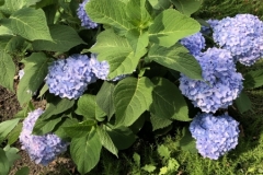 image098