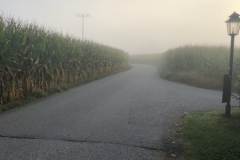 image031