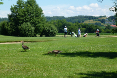 P1020299