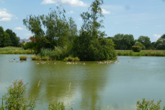image050
