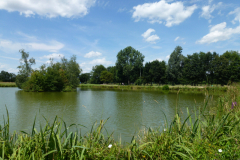 image107