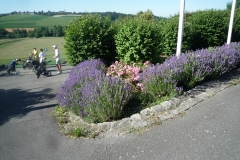 P1050777