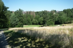 P1050791