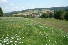 P1050484